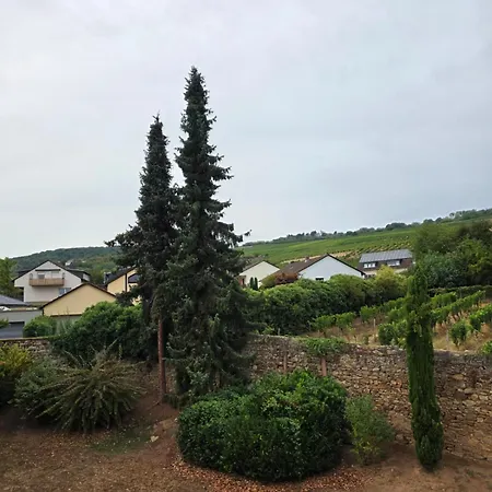 Idylle Am Weinberg Stilvolles In Ruhiger Wohngegend * Ruedesheim am Rhein